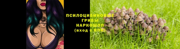 PSILOCYBIN Дмитриев