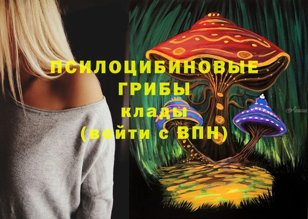 PSILOCYBIN Дмитриев